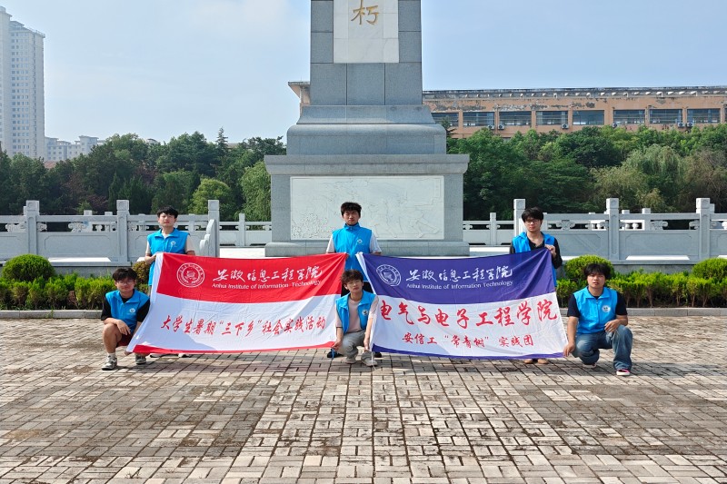 图为“常青树”实践团在泗县烈士陵园前合影.jpg