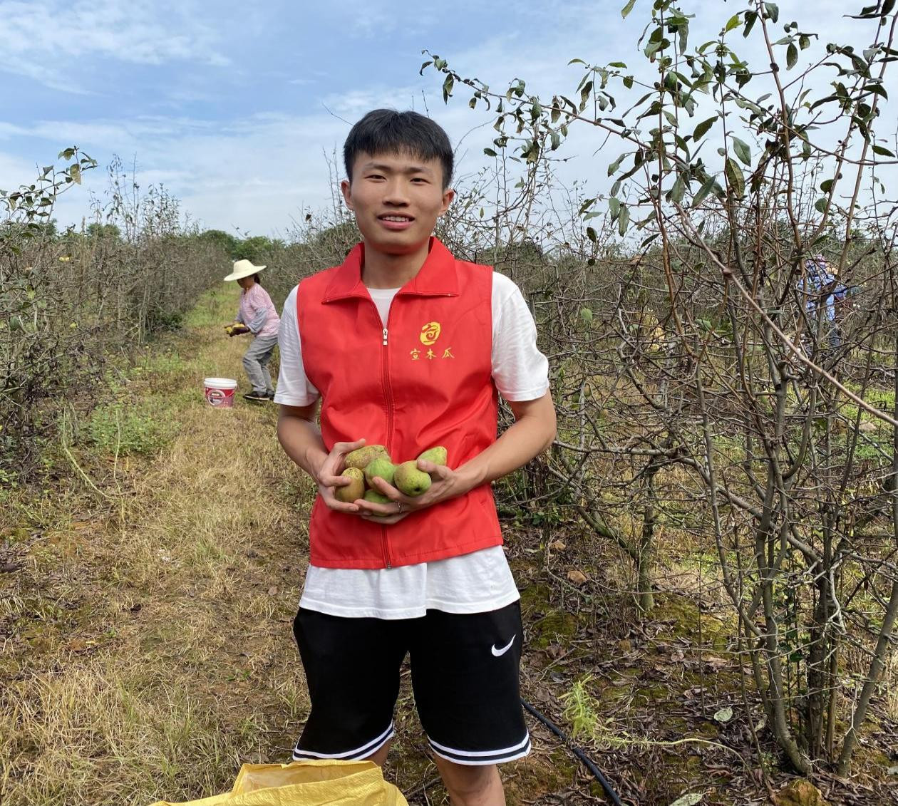 图片1.jpg 图片1.jpg