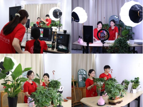 图片8.png 图片8.png