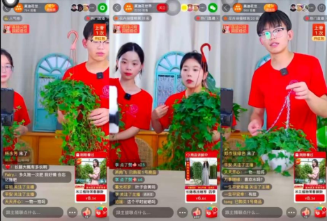 图片9.png 图片9.png